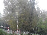 下雨了