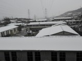 雪来了