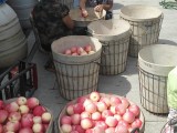 又是一年苹果收获时